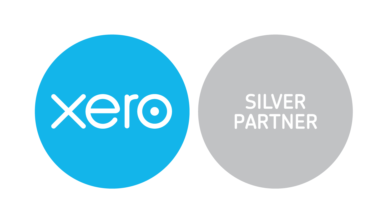 xerox silver logo
